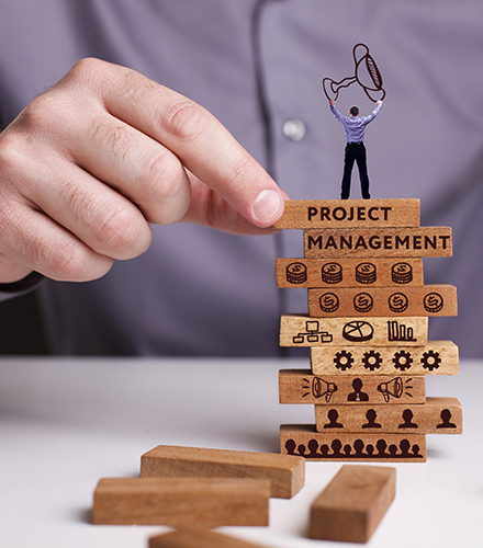 PROJECT MANAGEMENT